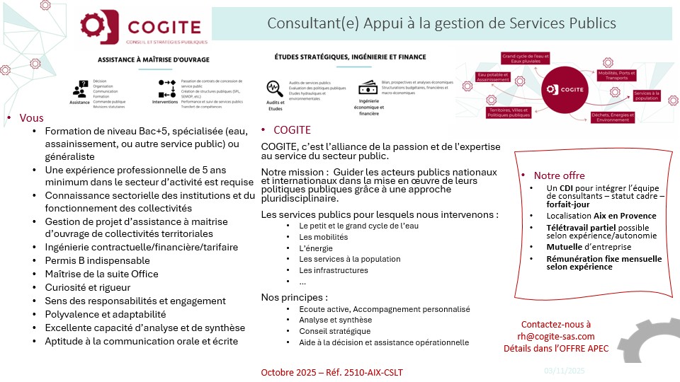 Consultant(e) Appui à la gestion des services publics